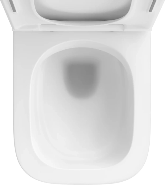 Унитаз подвесной Wellsee Pure BY Wellsee 182603001 безободковый, с микролифтом, матовый белый фото в интернет-магазине «Wasser-Haus.ru»