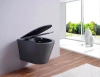 Унитаз подвесной Esbano Clavel ESUPCLAVGM серый матовый фото в интернет-магазине «Wasser-Haus.ru»