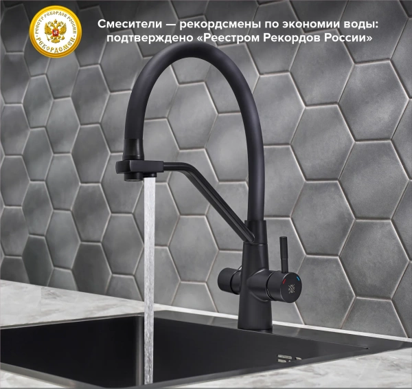 Смеситель для кухни РМС SUS127TBL-016F-015 с гибким изливом, черный фото в интернет-магазине «Wasser-Haus.ru»