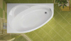 Акриловая ванна Vagnerplast Flora 150x100 L ультра-белая фото в интернет-магазине «Wasser-Haus.ru»