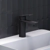 Смеситель для раковины Damixa Merkur 400210300 черный фото в интернет-магазине «Wasser-Haus.ru»
