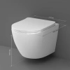 Унитаз подвесной AM.PM Like C801900SC AquaSpin с микролифтом фото в интернет-магазине «Wasser-Haus.ru»