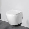 Унитаз подвесной AM.PM Like C801900SC AquaSpin с микролифтом фото в интернет-магазине «Wasser-Haus.ru»