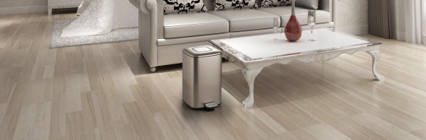Мусорное ведро Weltwasser WW Mila MT 12L хром матовый фото в интернет-магазине «Wasser-Haus.ru»