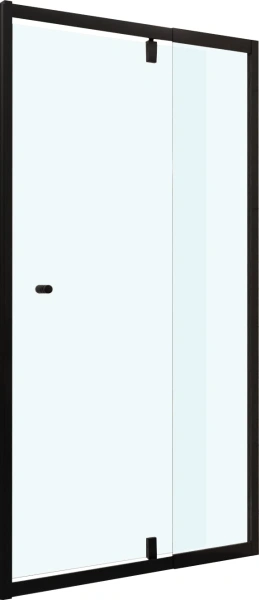 Душевой уголок RGW Passage PA-02B+100 см (67x80)х100x185 профиль черный, стекло прозрачное фото в интернет-магазине «Wasser-Haus.ru»