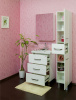 Мебель для ванной Sanflor Анкона 60 фото в интернет-магазине «Wasser-Haus.ru»