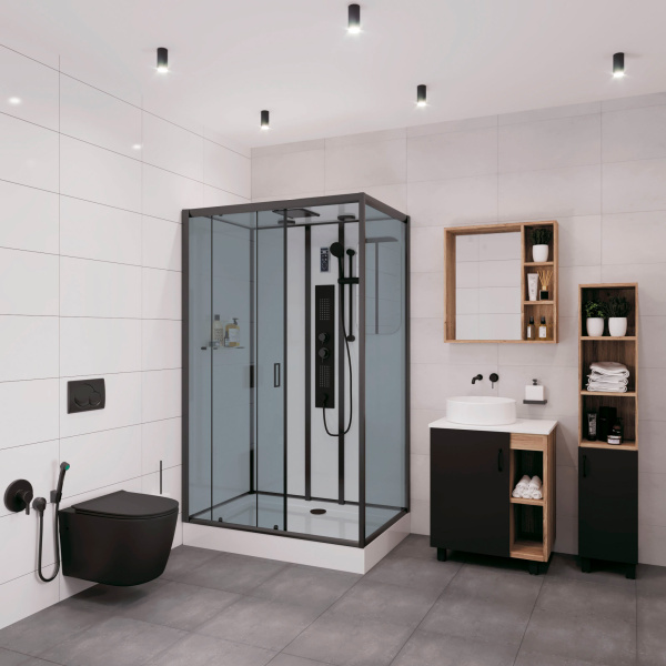 Душевая кабина Niagara Premium NG-6912-01GQL BLACK 120х80х210 левая, черная фото в интернет-магазине «Wasser-Haus.ru»