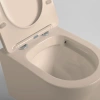 Унитаз подвесной Vincea Piatti VT1-11SMC матовый капучино фото в интернет-магазине «Wasser-Haus.ru»