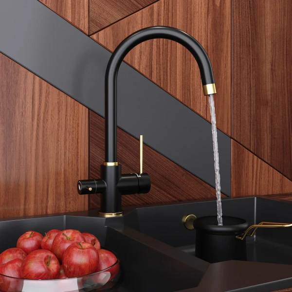 Смеситель для кухни Elghansa Kitchen Pure Water 56B5216-BlackGold black gold фото в интернет-магазине «Wasser-Haus.ru»
