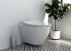 Унитаз подвесной VitrA Sanibelle 7551B003-0075 безободковый, с микролифтом фото в интернет-магазине «Wasser-Haus.ru»
