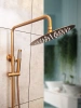 Душевая стойка AltroBagno Unione 030211 RaSp, матовая медь фото в интернет-магазине «Wasser-Haus.ru»