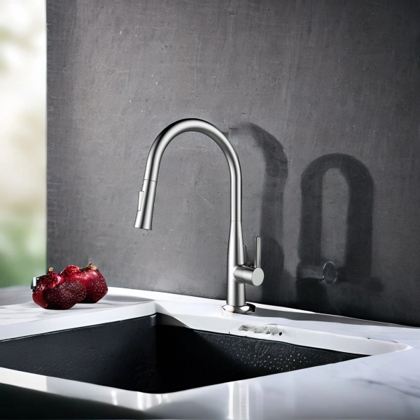 Смеситель для кухни Raiber Graceful RP-011 хром фото в интернет-магазине «Wasser-Haus.ru»