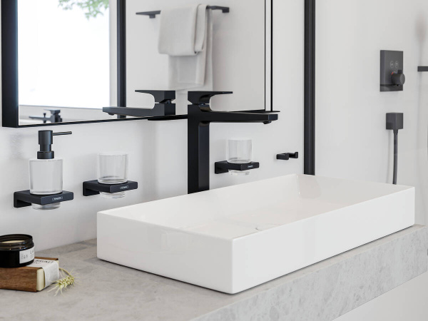 Крючок Hansgrohe AddStoris 41755670 двойной, матовый черный фото в интернет-магазине «Wasser-Haus.ru»
