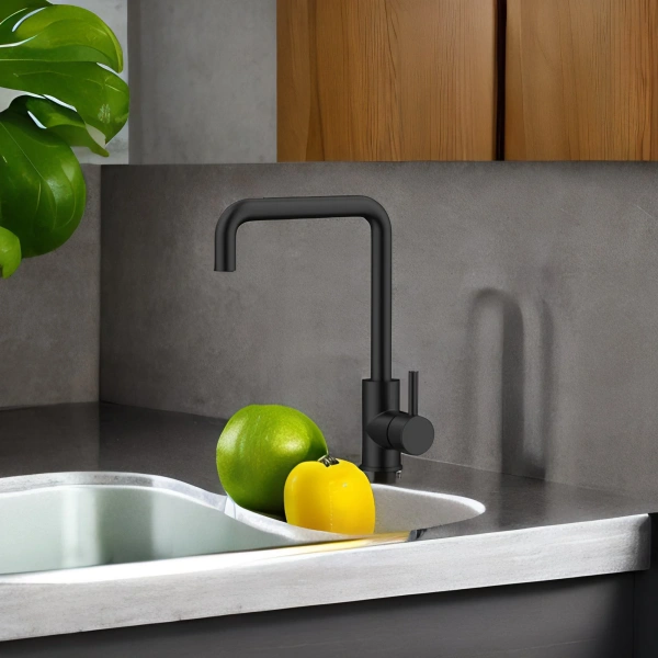 Смеситель для кухни Raiber Graceful RPB-013 черный фото в интернет-магазине «Wasser-Haus.ru»