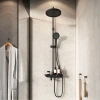 Душевая стойка IDDIS Shelfy SPABLBTi06 фото в интернет-магазине «Wasser-Haus.ru»