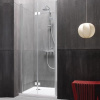 Душевая дверь в нишу Kolpa San Terra flat TV/S-L 100 левая фото в интернет-магазине «Wasser-Haus.ru»
