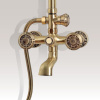 Душевая стойка Bronze de Luxe 10121F фото в интернет-магазине «Wasser-Haus.ru»