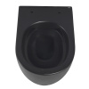 Унитаз ABBER Bequem AC1104MB подвесной черный матовый, безободковый фото в интернет-магазине «Wasser-Haus.ru»