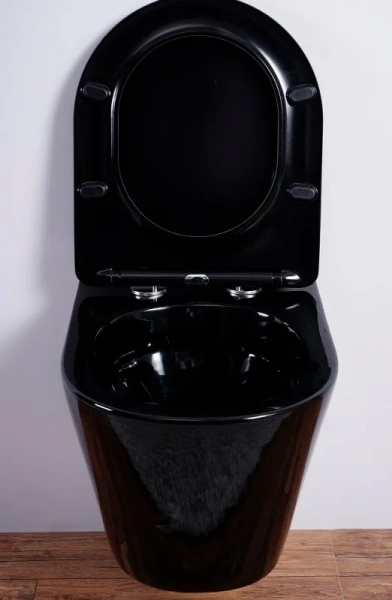 Унитаз подвесной Esbano Clavel ESUPCLAVB чёрный глянец фото в интернет-магазине «Wasser-Haus.ru»